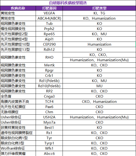 年龄相关性黄斑变性