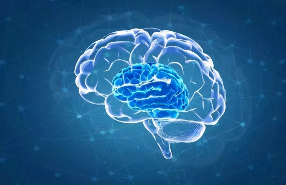 野外进行认知培训可以持久改善大脑健康(细胞培养fcs功效和作用）