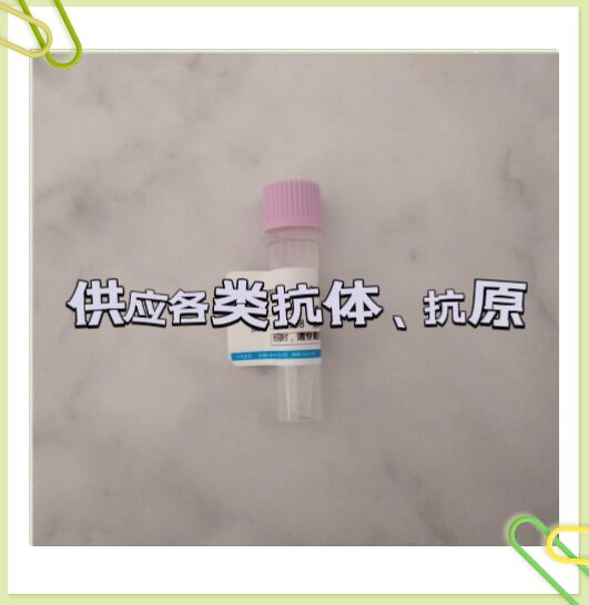 荧光标记链霉亲和素 SA-FITC保存体系