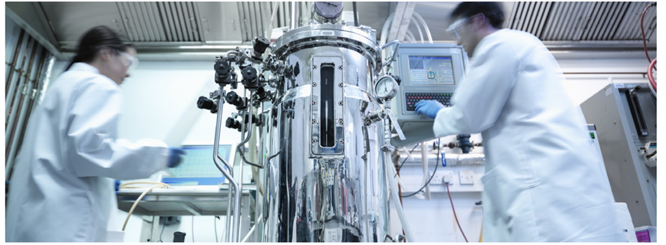 先进的发酵过程监控解决方案