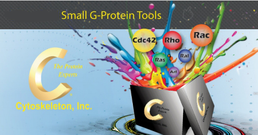 Cytoskeleton 促销活动：小G蛋白&GEF产品线超值大促直享 6.5 折超低优惠！