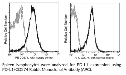 Cayman Chemical艾美捷PD-L1/CD274兔单克隆抗体 Cayman Chemical艾美捷PD-L1/CD274兔单克隆抗体