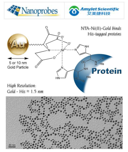 Nanoprobes代理商艾美捷10 nm Ni-NTA-Nanogold® Nanoprobes代理商艾美捷10 nm Ni-NTA-Nanogold®