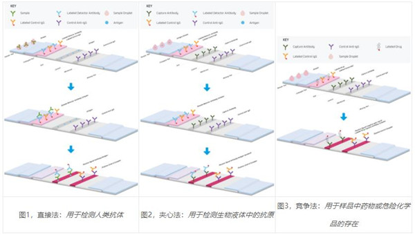 Jackson ImmunoResearch侧流免疫层析（试纸条）亲和纯化IgG促销啦