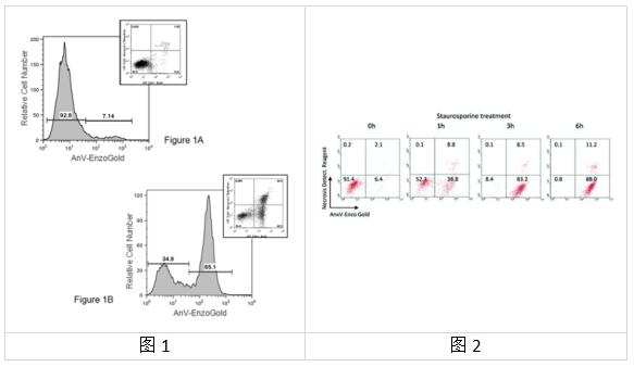 艾美捷GFP-CERTIFIED细胞凋亡/坏死检测试剂盒—多重检测 艾美捷GFP-CERTIFIED细胞凋亡/坏死检测试剂盒—多重检测