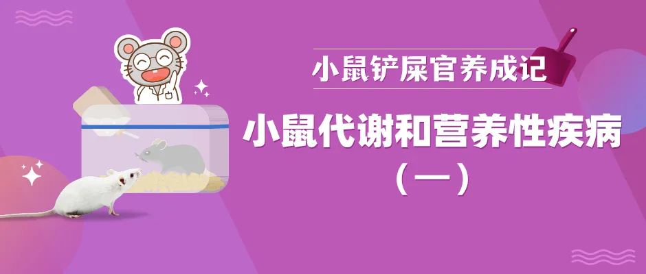 小鼠代谢和营养疾病知多少