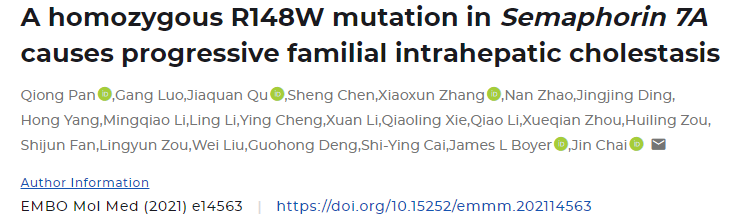 Absin多色试剂盒助力肝功能研究！IF12.137文献推荐！