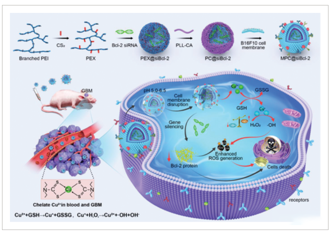 1698022776491391.png 1698022776491391.png