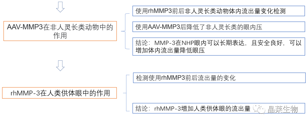 1698646986460246.png 新闻图片6