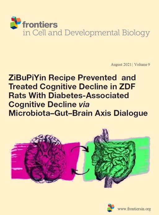 客户案例│中药篇（二）：滋补脾阴方药可通过微生物-肠-脑轴改善认知功能