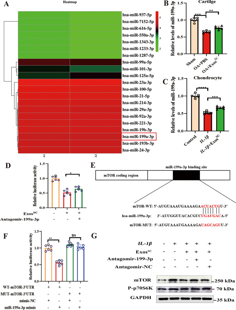 外泌体技术服务 外泌体技术服务
