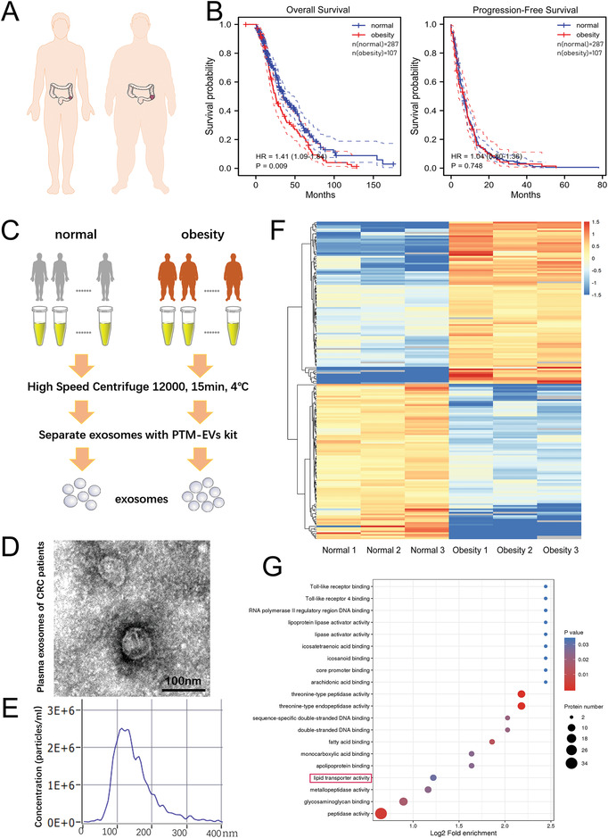 铁死亡 外泌体.jpg