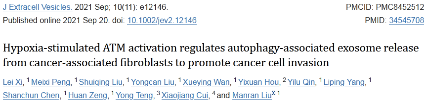 缺氧+自噬+外泌体+肿瘤细胞侵袭=1区高分文章，这个思路你值得拥有！