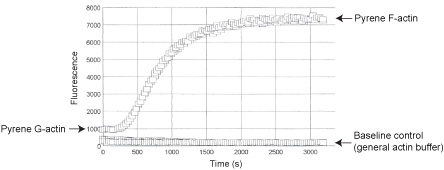 艾美捷代理—— Cytoskeleton 氧化Actin相关研究工具
