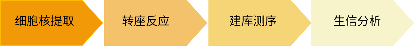 DNA-蛋白质互作研究解决方案（上）