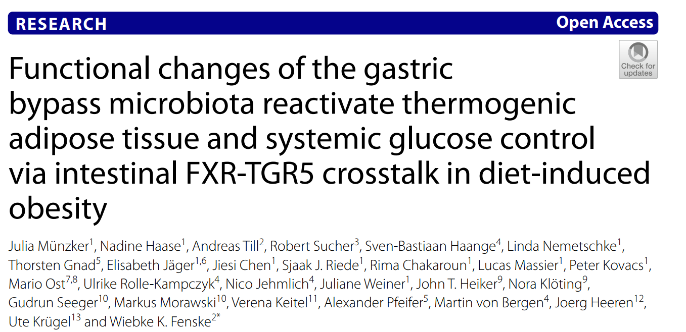 Microbiome | 多组学分析揭示减重手术中肠道微生物如何调节机体代谢
