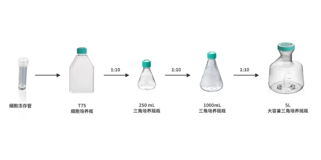 产品细节图片10