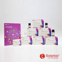 Caspase-5活性检测试剂盒 Caspase