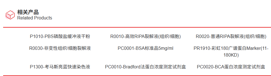 Ultra全血蛋白提取试剂盒