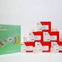  脂肪组织蛋白提取试剂盒