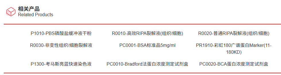 Ultra总蛋白提取试剂盒(蛋白相互作用适用(Pull-do