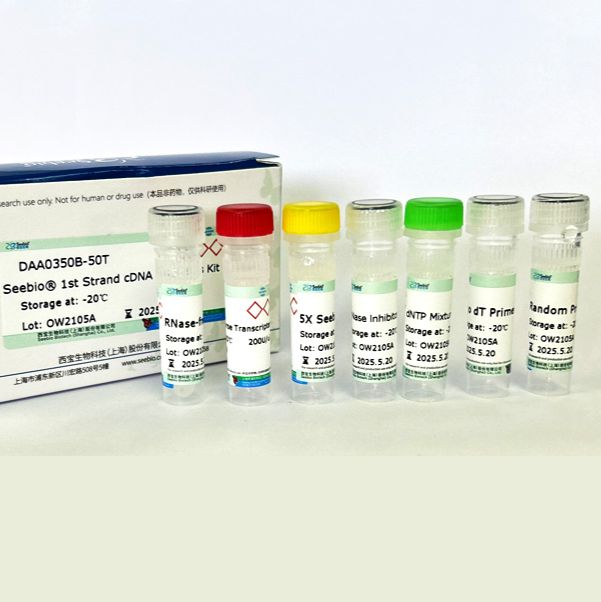 Seebio® 第一链cDNA合成试剂盒
