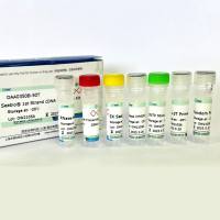 Seebio® 第一链cDNA合成试剂盒