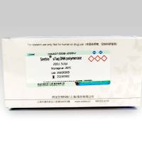 Seebio® sTaq DNA聚合酶（不含dNTP）