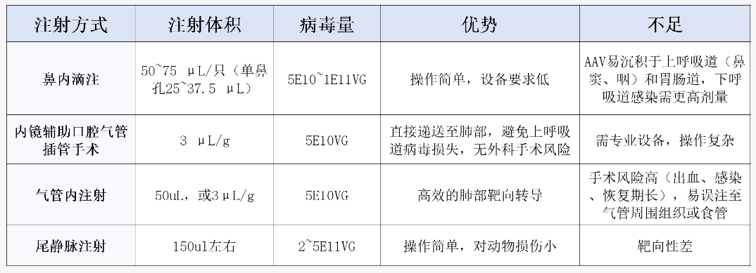 从文献到实操：AAV靶向肺脏研究指南