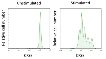 Elabscience 新品来袭：15 分钟搞定初始 T 细胞分选，助力 CAR-T 技术突破
