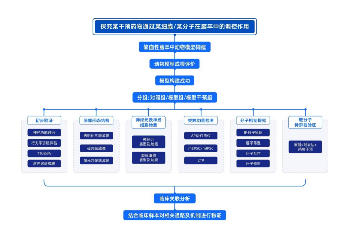 重磅推介丨脑卒中课题研究必看！缺血性脑卒中疾病研究整体解决方案