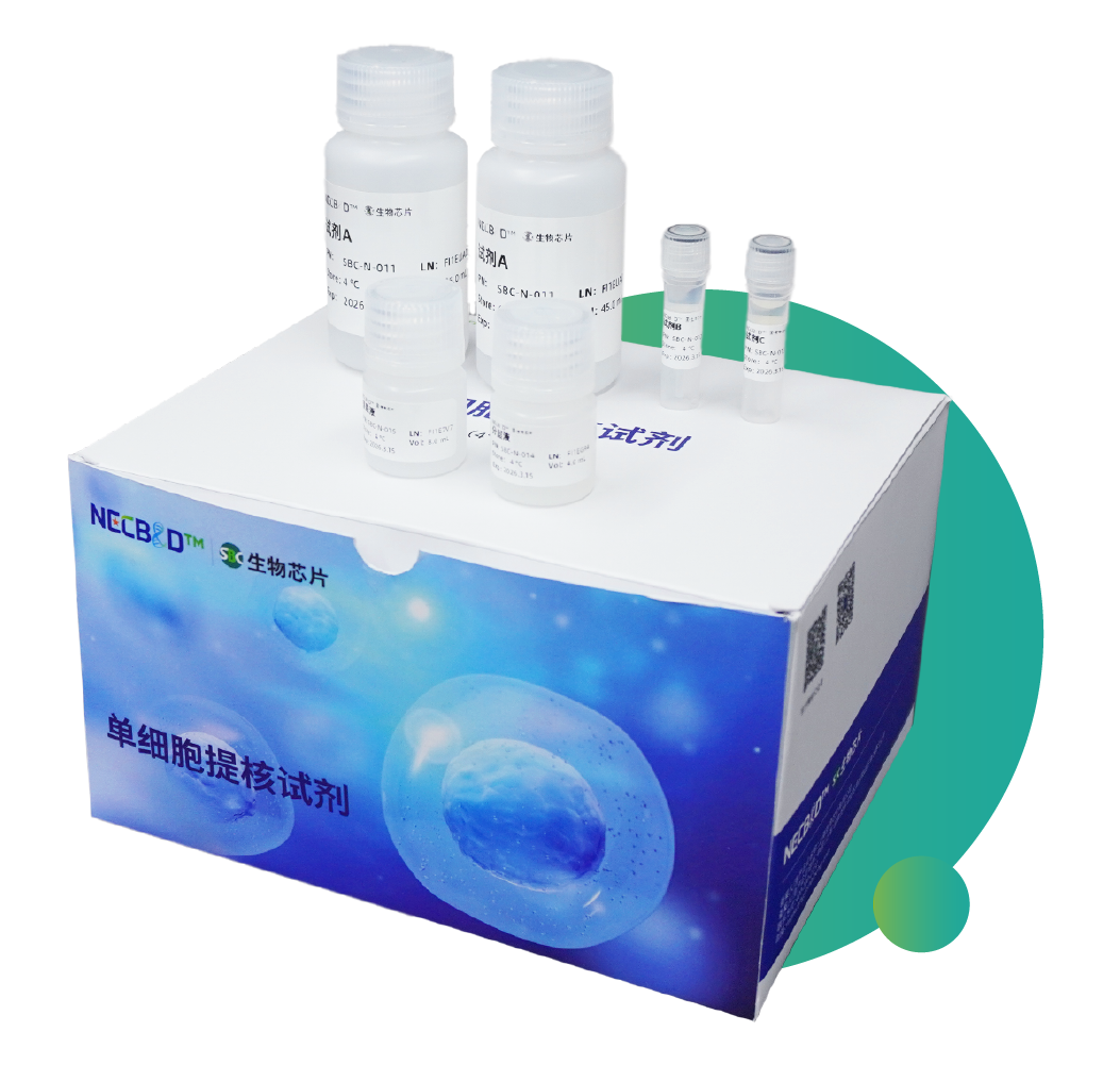 SBC高效动物组织细胞核分离试剂盒重磅上线，解锁单细胞研究关键第一步