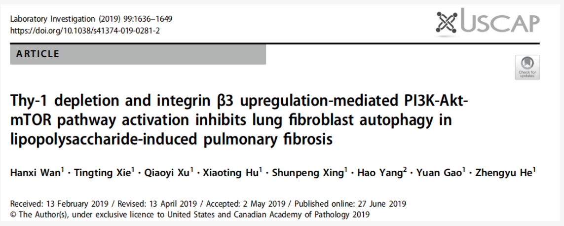从文献到实操：AAV靶向肺脏研究指南