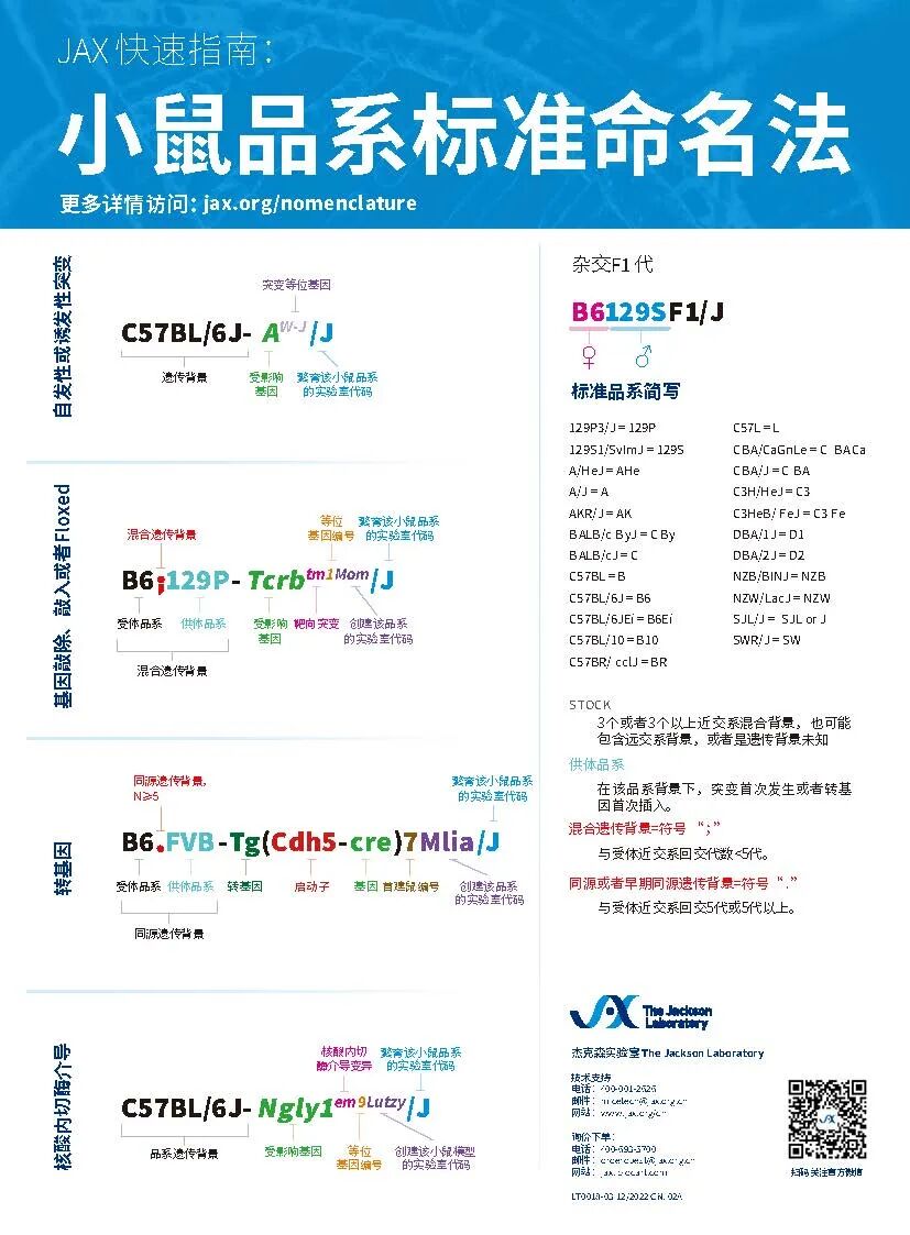 遗传背景系列知识 | 遗传背景的重要性