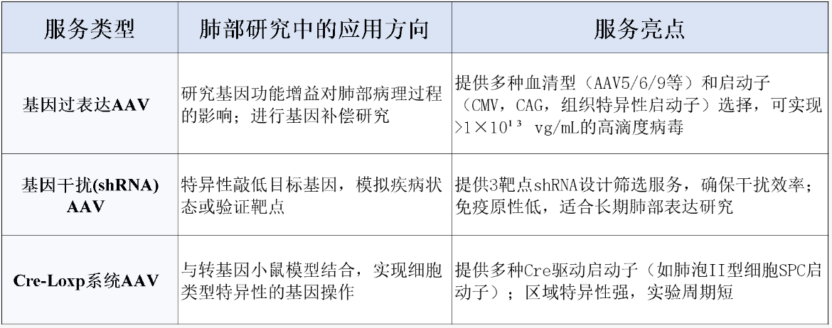 从文献到实操：AAV靶向肺脏研究指南