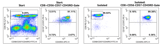 Elabscience 新品来袭：15 分钟搞定初始 T 细胞分选，助力 CAR-T 技术突破