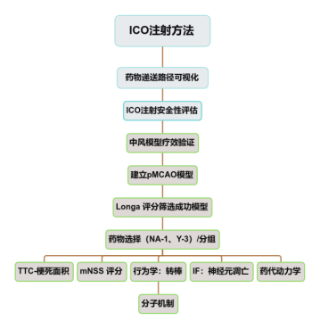 重磅推介丨脑卒中课题研究必看！缺血性脑卒中疾病研究整体解决方案