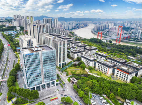 威斯腾生物董事长周勇建言环重医大健康产业园建设