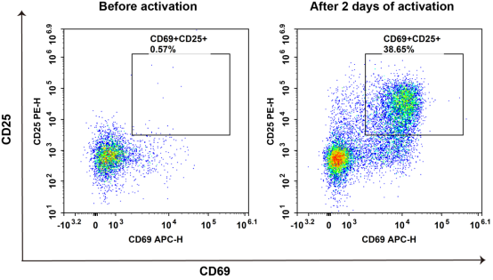 Elabscience 新品来袭：15 分钟搞定初始 T 细胞分选，助力 CAR-T 技术突破