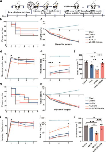 重磅推介丨脑卒中课题研究必看！缺血性脑卒中疾病研究整体解决方案