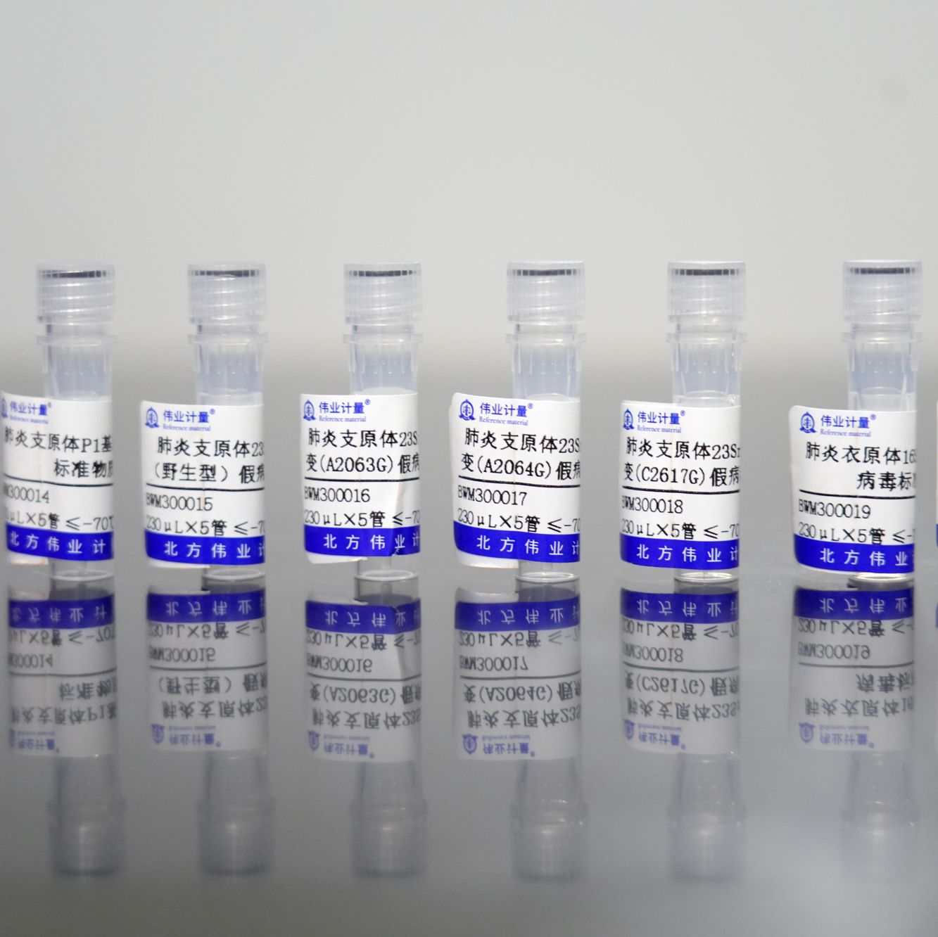 肺炎支原体基因假病毒标准物质