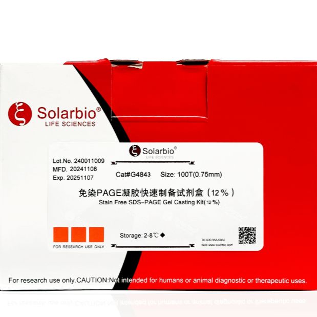 免染PAGE凝胶快速制备试剂盒(12%) 蛋白电泳