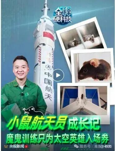 南京卡尔文转棒式疲劳仪助力小鼠"航天员"出征太空
