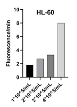 Elabscience 全新氧消耗率（OCR）荧光法测试盒（增强型），信号提升 5 倍 + 拿捏科研数据