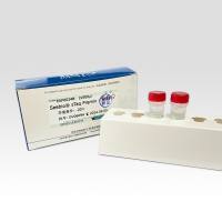 Seebio® sTaq PCR Mix 预混液（无染料）