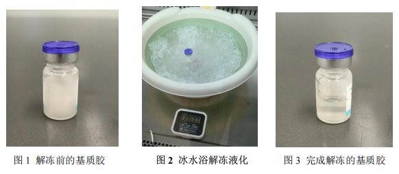 基质胶实操教程:使用与存储全攻略