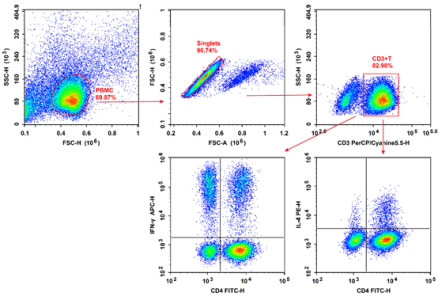 Elabscience 新品来袭：15 分钟搞定初始 T 细胞分选，助力 CAR-T 技术突破