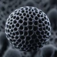 抗 CD44 抗体修饰的 PLA 多孔微球用于 IL-2 靶向递送与肿瘤局部免疫激活