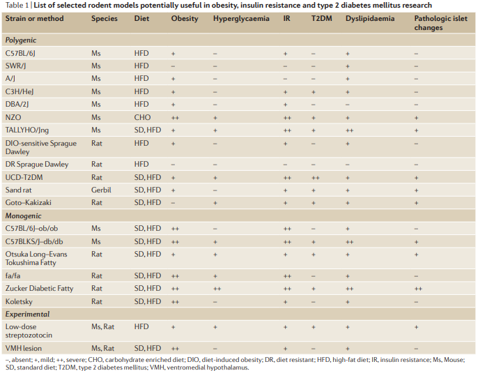 遗传背景系列知识 | 我的小鼠是什么遗传背景？