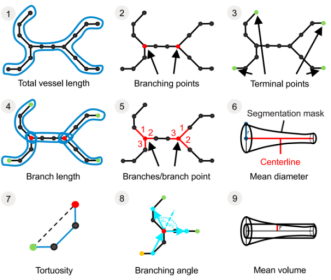 重磅推介丨脑卒中课题研究必看！缺血性脑卒中疾病研究整体解决方案